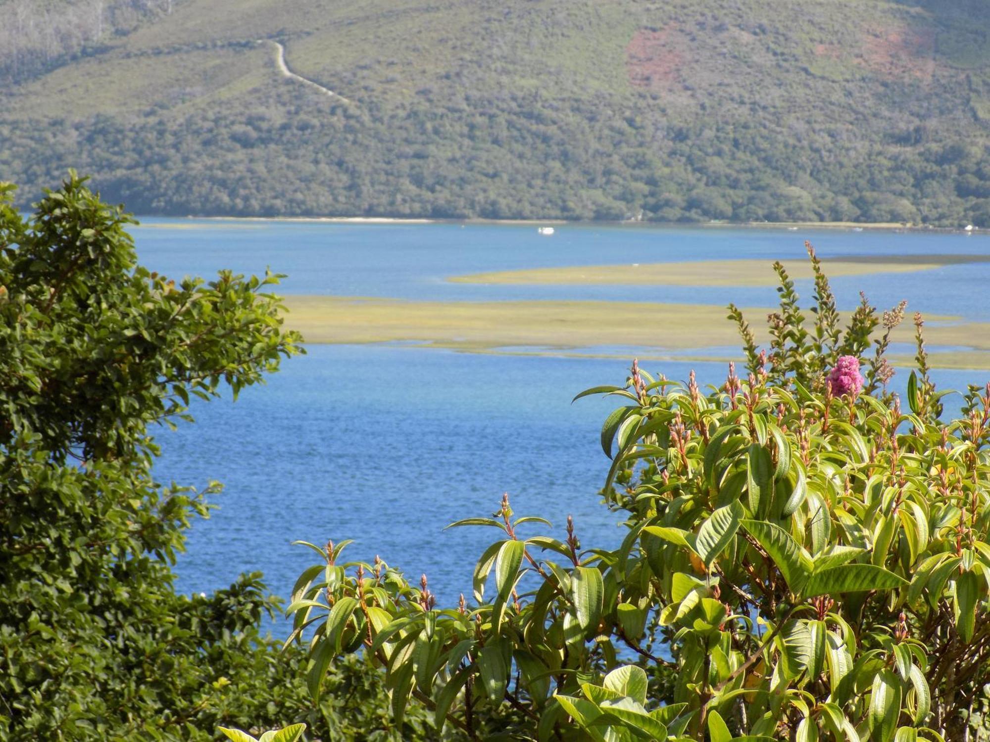 Protea Guest House Knysna Zimmer foto